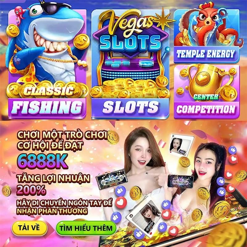 net88